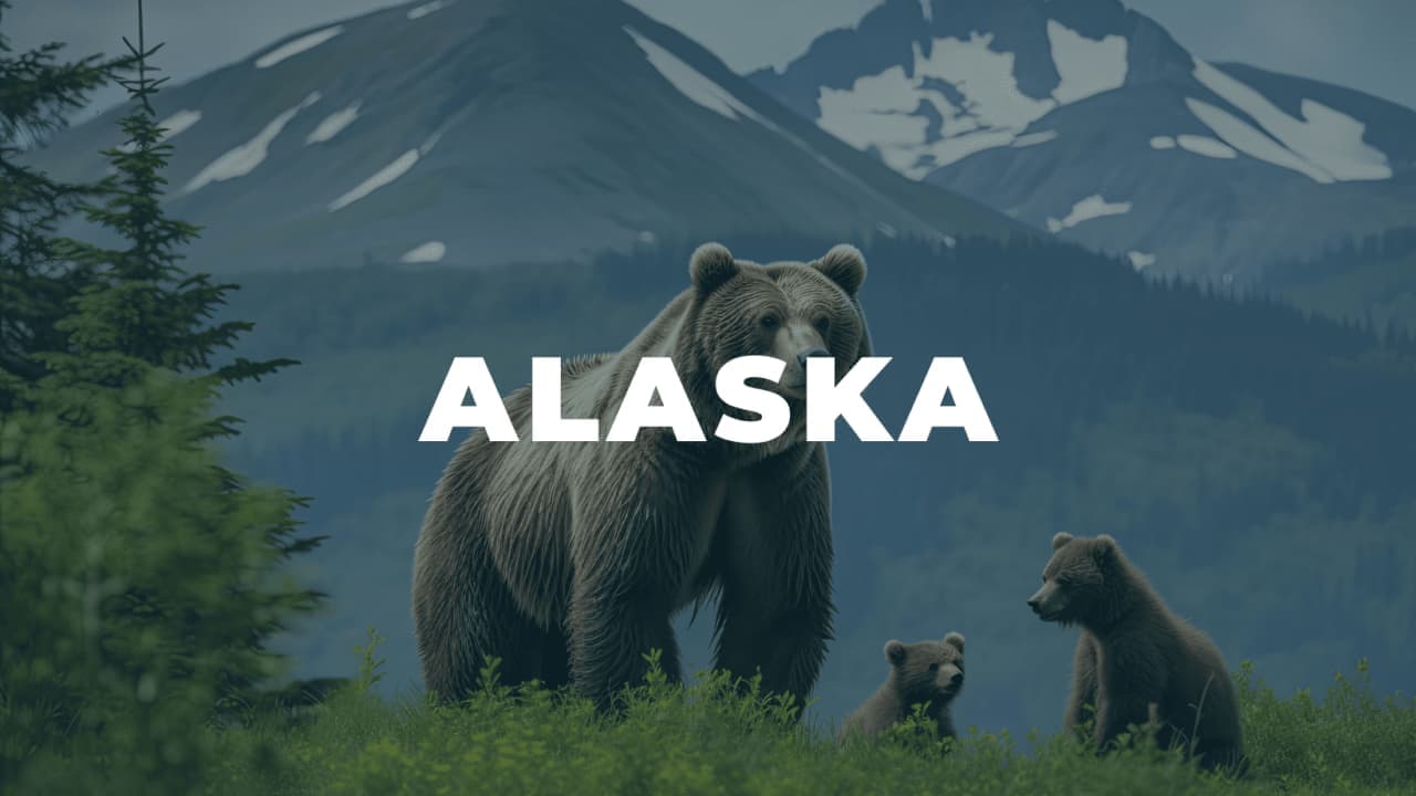 Help for Single Mothers in ALASKA