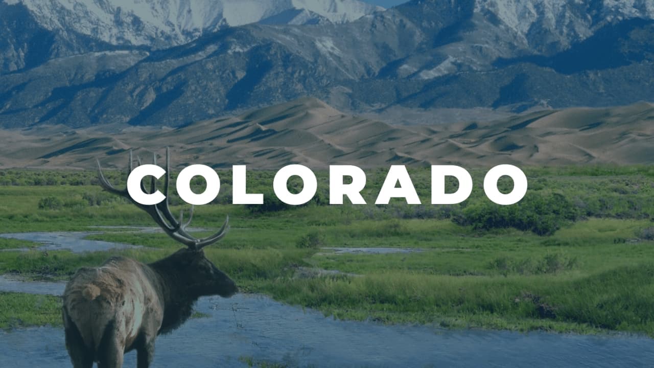 Help for Single Mothers in COLORADO