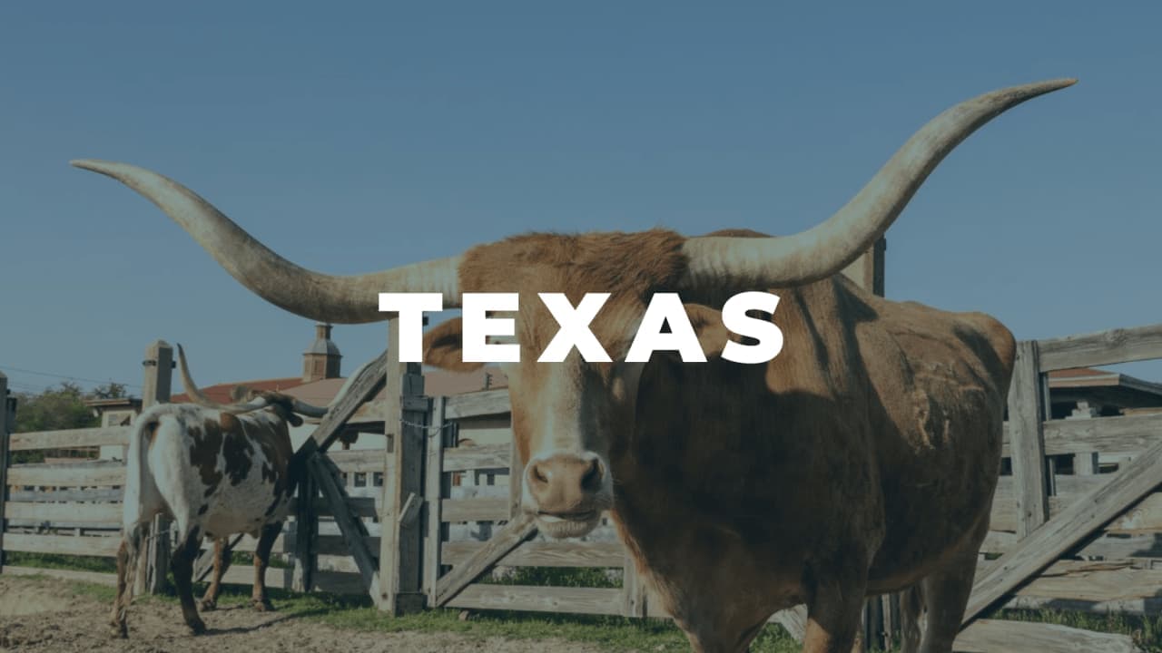 Help for Single Mothers in TEXAS